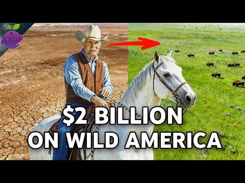 Ted Turner's 2 Million Acre US Empire: The Largest Private Rewilding Ever