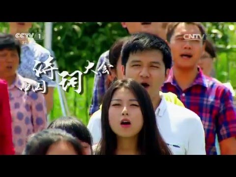 《中国诗词大会》20160212