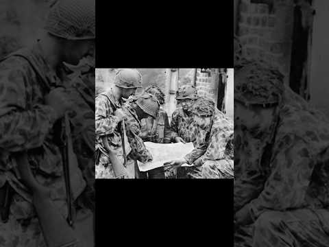 This WWII Uniform Myth Will Not Die!