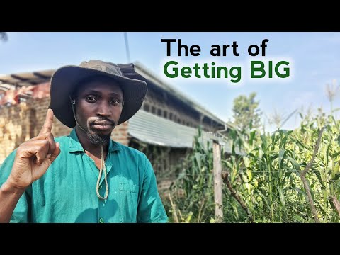 Watch THIS Before You Start A Farm!