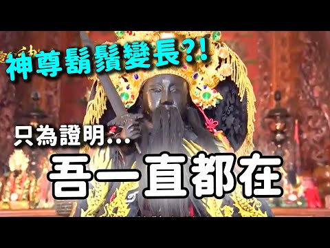 會長鬍鬚的玄天上帝!? 伴世人走過九二一風霜的暖心帝爺公｜  寶島神很大online