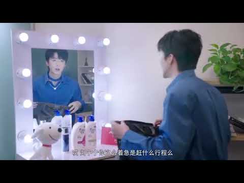 刘宇宁 京东星店长 (JD Star Store Manager)