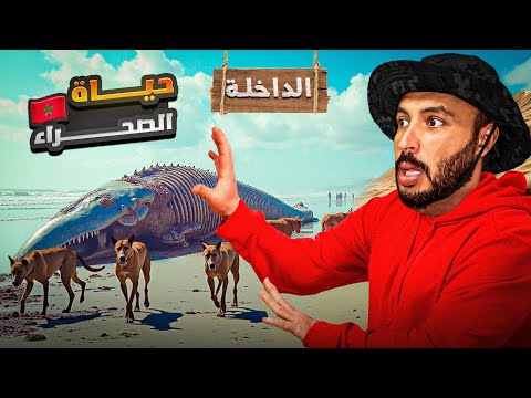 حياة الصيد والتخييم في افضل مصيد في المغرب 🇲🇦 شفنا العجب في هذا المكان