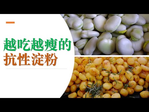 越吃越瘦的抗性淀粉，为什么抗性淀粉能降低血糖 (字幕点击CC)