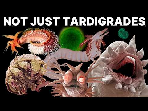 Every Extremophile Explained