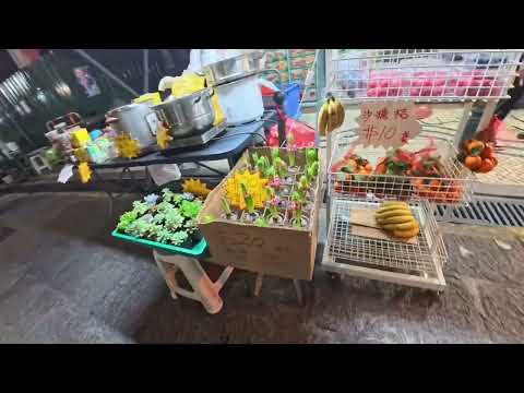 2025年12月6日夜悠十六浦十月初五燈光夜市