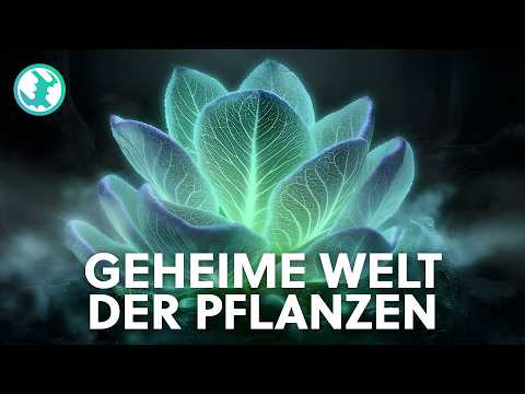 2+ Stunden Einschlafen mit unsichtbaren Naturwundern