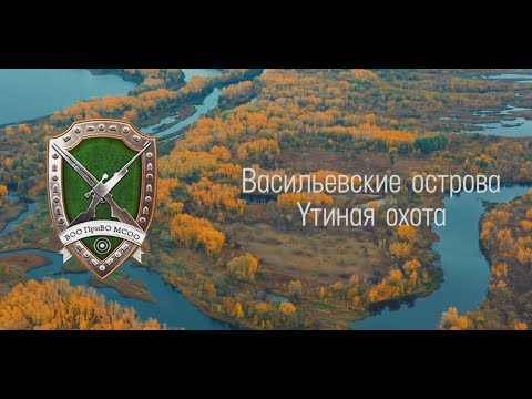 Осенняя охота на утку 2019. Васильевские острова Самарская область
