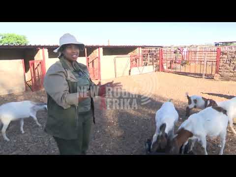 Waking Up With- A day in the life of a farmer