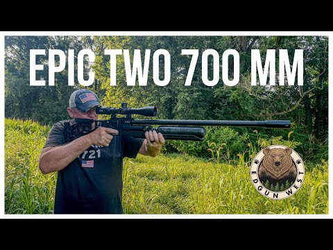 Precision Perfected: Epic Two 700 mm .22 Cal Airgun Breakdown