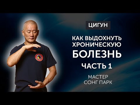 Как выдохнуть хроническую болезнь из своего тела. Сонг Парк. Киай цигун. Академия Киайдо