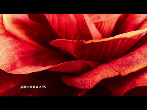 楊定一:聖誕節的提醒