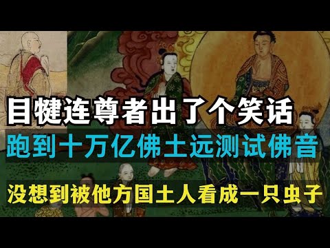 神通第一的目犍连出了个笑话，跑到十万亿佛土远测试佛音，没想到被他方国土人看成一只虫子 【显密法缘】