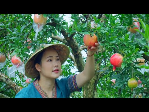 Harvesting crops from the mountains of Yunnan and how to prepare dishes.