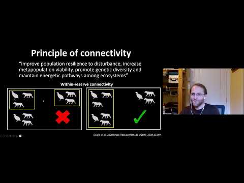 Statistical Methods Series: Decision support using the {prioritizr} R package