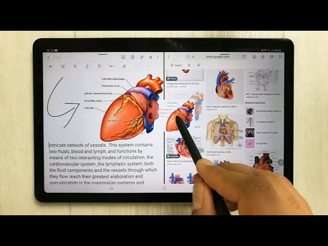 Samsung Notes : Top 20 Tips and Tricks - How to Use Samsung Notes App