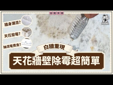 回南天急救法 天花牆身除霉超簡單｜家居自救手冊｜【大匠夫】