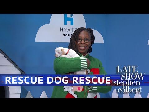 Rescue Dog Rescue With Whoopi Goldberg
