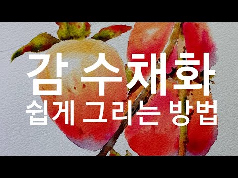감 수채화 쉽게 그리기