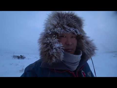 Ryapushka 24.3 Full HD 1080p