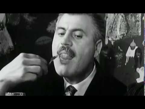 Mahlzeit Deutschland   2/3 Vom Eisbein Zur Pizza.Doku 2009