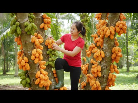 Harvest 1000+ Kg Of Pandanus Fruit Goes to market sell - How To Roof A House With Palm Leaves