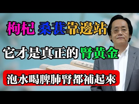 倪海廈:枸杞、桑葚靠邊站,它才是真正的“腎黃金”,每天泡水喝,脾、肺、腎都補起來!#倪海廈 #中醫真傳 #倪師 #正統中醫 #經方 #中醫養生 #健康智慧
