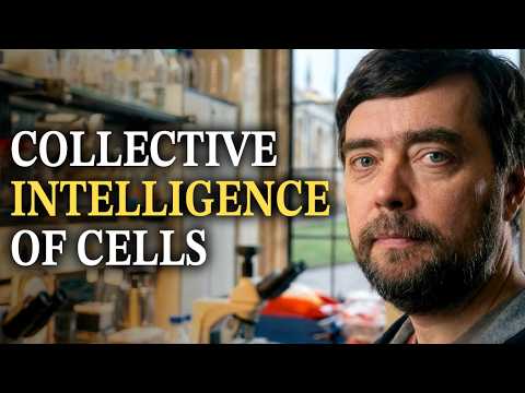 Michael Levin: Consciousness, Biology, Universal Mind, Emergence, Cancer Research