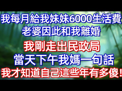 我每月給我妹妹6000生活費 老婆因此和我離婚 我副走出民政局當天下午我媽一句話我才知道自己這些年有多傻!!#情感故事 #生活經驗  #為人處世  #老年生活#故事