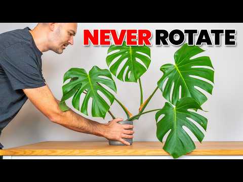 15 Things Plants Hate and Wish You'd Stop Doing