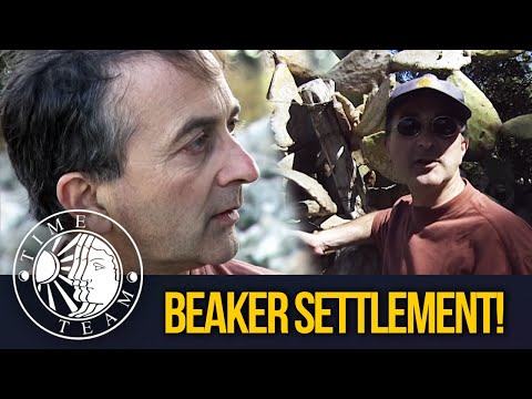 Beaker Settlement (Full Episode) | S5 EP5 | Time Team (Majorca, Spain)