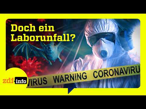 New leads in the Covid-19 case: Origin in a laboratory or wildlife market? | ZDFinfo Documentary