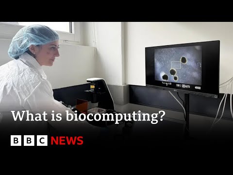 What is biocomputing? | BBC News