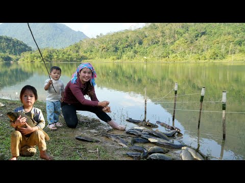 how to catch fish, trap giant fish with his little son to bring to market to sell