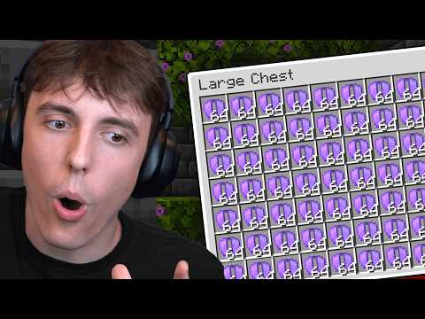 He Built A Minecraft Elytra Farm