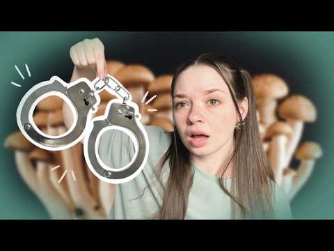 How Illegal are Mushrooms in the World?