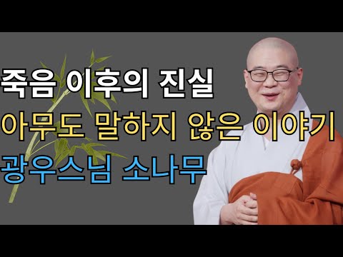 죽음 이후의 진실… 아무도 말하지 않은 이야기ㅣ광우스님 소나무