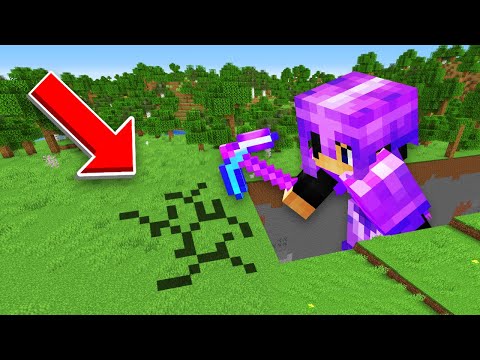 Minecraft, But You Mine 1,000,000 Blocks!