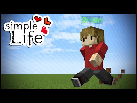 Simple Life: THE START AND END