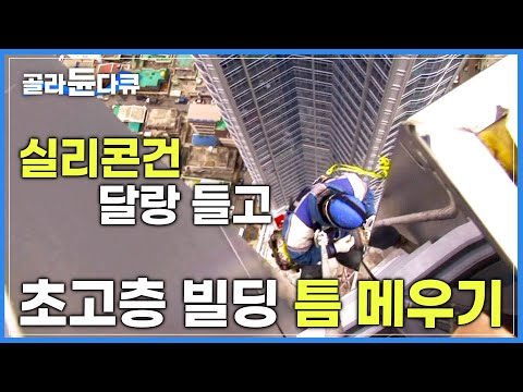 50층 건물 외벽의 '모든' 틈새를 실리콘으로 막아라! 의지할 것은 오로지 로프 한 줄│코킹작업반│극한직업│#골라듄다큐