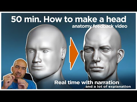 Forms of the male head and why? A beginner's sculpting mistakes and how to fix them.