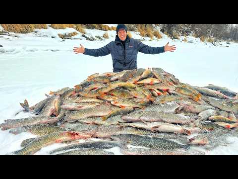 ЛОВИМ СО ЛЬДА МЕШКАМИ! ТУТ ЕЕ ТОННЫ! ЗИМНЯЯ РЫБАЛКА СРЕДИ ВУЛКАНОВ часть 2