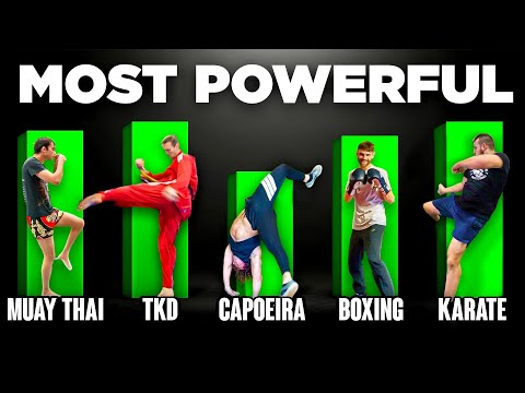 What Martial Art Hits the HARDEST?