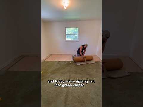 Tearing out 1,000 sq ft of musty, dusty green carpet 🤢#carpet #hardwood #refinishingwoodfloors