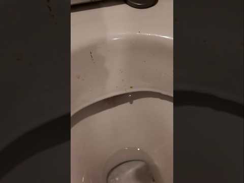 Restaurant Review_ Judge by the Toilet! (EPIC FAIL)