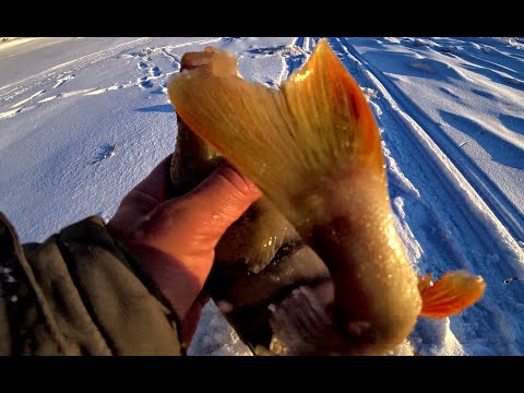 КОГДА С ДЕВУШКОЙ НА РЫБАЛКЕ ВСЕГДА КЛЮЕТ!!!!!!! Певый лед на Оби! Безмотылки от ESOX В ДЕЛЕ!