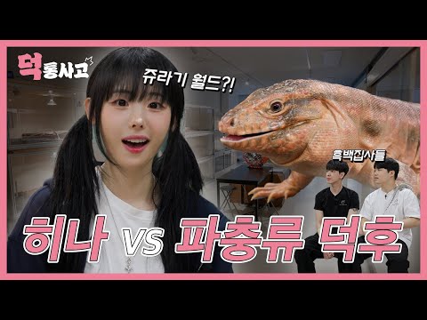 QWER 히나 이상형을 만나다🥹 (feat. 쥬라기 월드) [덕통사고 EP.4]