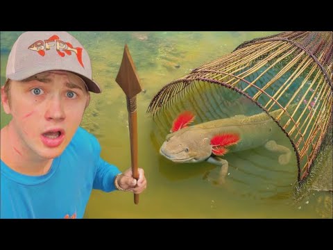 Ich hab Axolotl mit einer selbstgebauten Fischfalle gefangen!