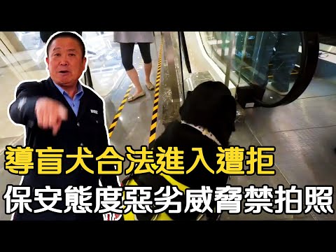 氣炸！導盲犬合法進入公共場所遭拒，保安態度惡劣，一群叔叔阿姨挺身而出護住它：請尊重合法權益！#中國實況 #中國現狀 #真實的中國