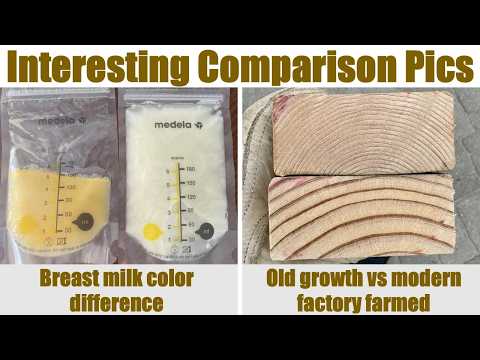 Interesting and Surprising Comparison Images